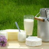 Milchprodukte    © Claudio Calcagno - Fotolia.com