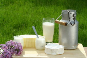 Milchprodukte Milchprodukte © Claudio Calcagno - Fotolia.com