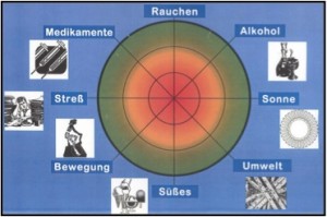 Orthomed 2 Einflüsse auf den Organismus