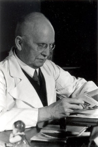 Prof. Dr. Dr. Stoeckel