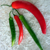 Chilis: Scharf, amromatisch, gesund - und medizinisch wertvoll. Foto: igtv
