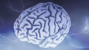 Schlaganfall - Das Gehirn Detail
