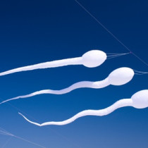Spermien © miket - Fotolia.com
