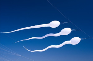 Spermien © miket - Fotolia.com