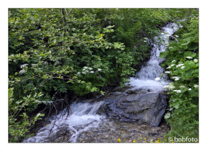 … beim Wandern in Kontakt mit der Natur sein…..